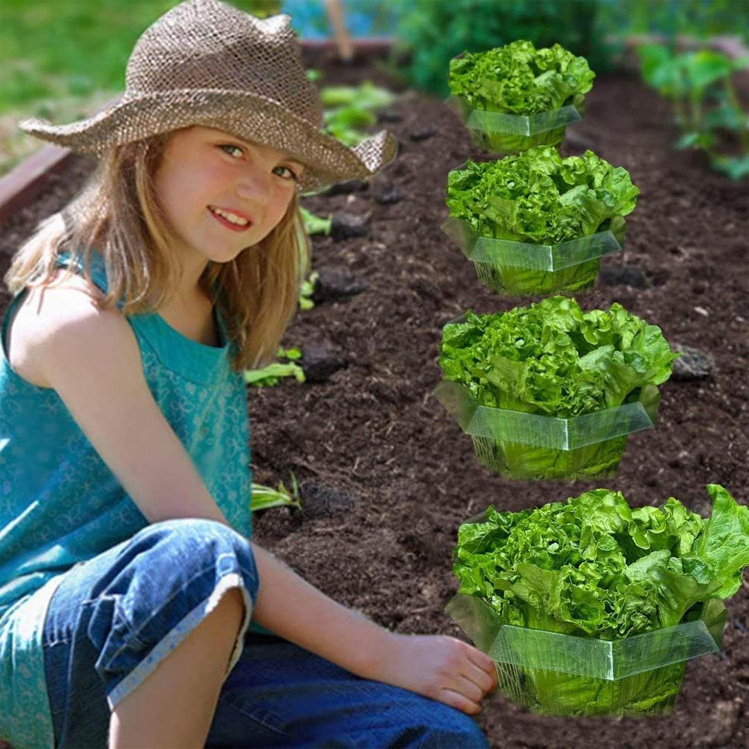 20 Stück Schneckenkragen,Schneckenschutzringe,Schneckenring Garten Effektiver Schneckenschutz,Schnec