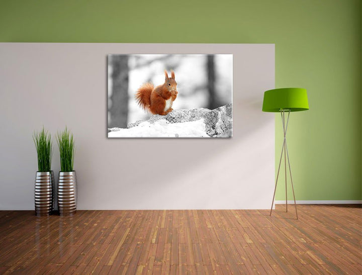 niedliches Eichhörnchen in verschneitem Wald schwarz/weiss Format: 100x70 auf Leinwand, XXL riesige