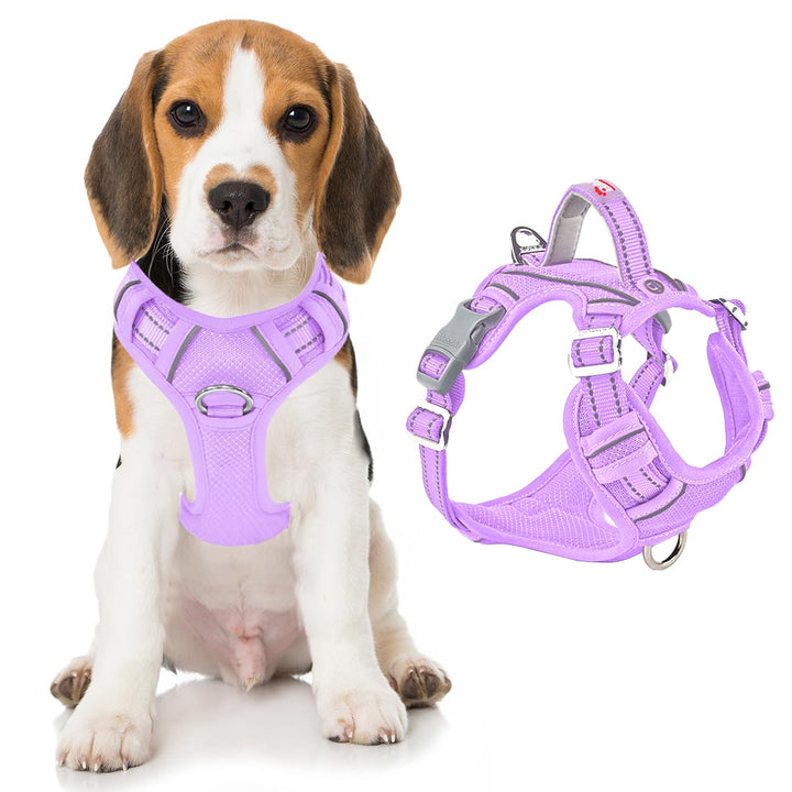 BARKBAY Hundegeschirr, kein Ziehen, mit Tasche für ID-Tag, strapazierfähig, reflektierend, einfache