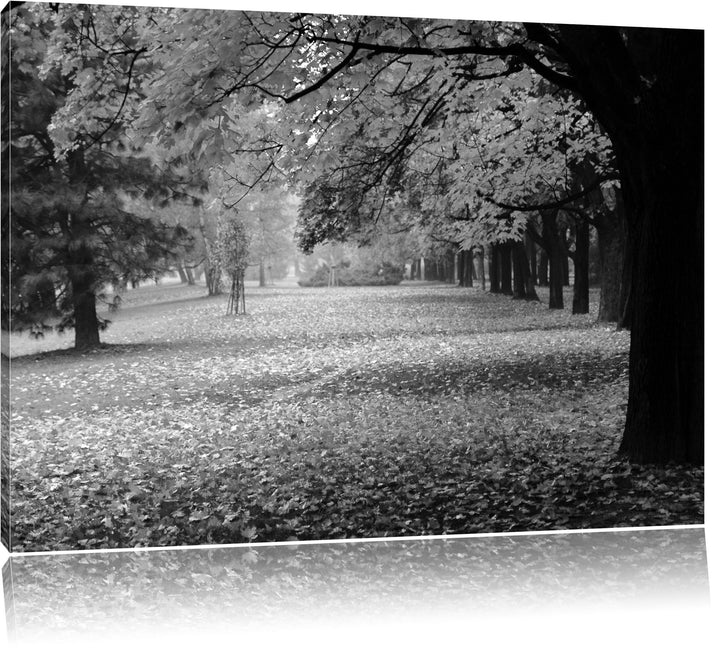 schöner Park im Herbst schwarz/weiss Format: 100x70 auf Leinwand, XXL riesige Bilder fertig gerahmt
