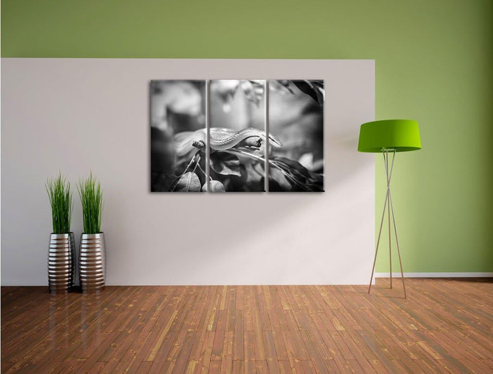 Pixxprint Raue grüne Schlange Kunst B&W als Leinwandbild/Grösse: 3 Teilig (120x80 cm) cm/Wandbild/Ku