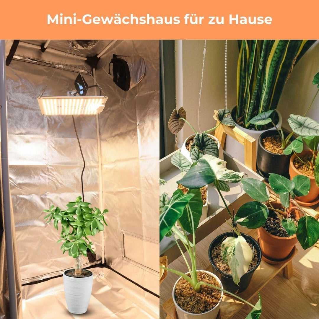 Mobiclinic®, Growzelt 80x80x160 cm, Indoor, Premium Mylar 97% reflektierend, Hydroponisches System,