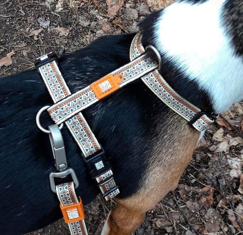 Max & Molly Ultra Comfortable Padded Neoprene Dog Step-in Sport Harness, Secure, Adjustable, and Eas