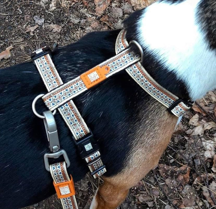 Max & Molly Ultra Comfortable Padded Neoprene Dog Step-in Sport Harness, Secure, Adjustable, and Eas