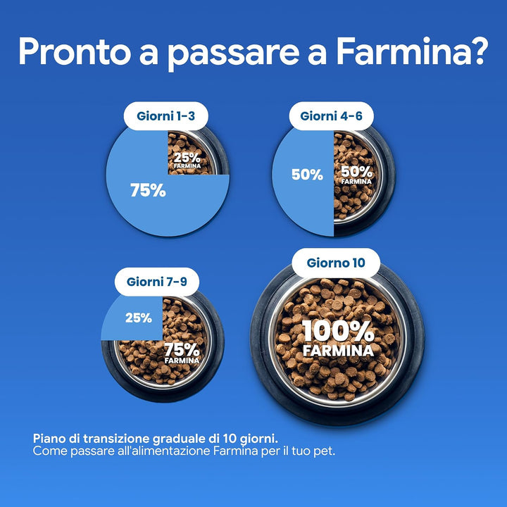 FARMINA N&D HS81611,GF Pumpkin Dog M/L Lamb & Blueberry