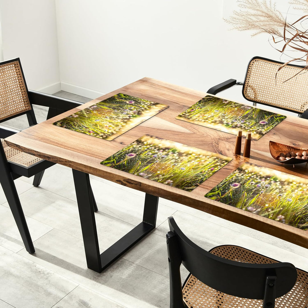 KitchenYeah© Platzsets Abwaschbar 6-Teilig 45x30 cm Tischsets Platzdeckchen Platzset Unterlage Tisch