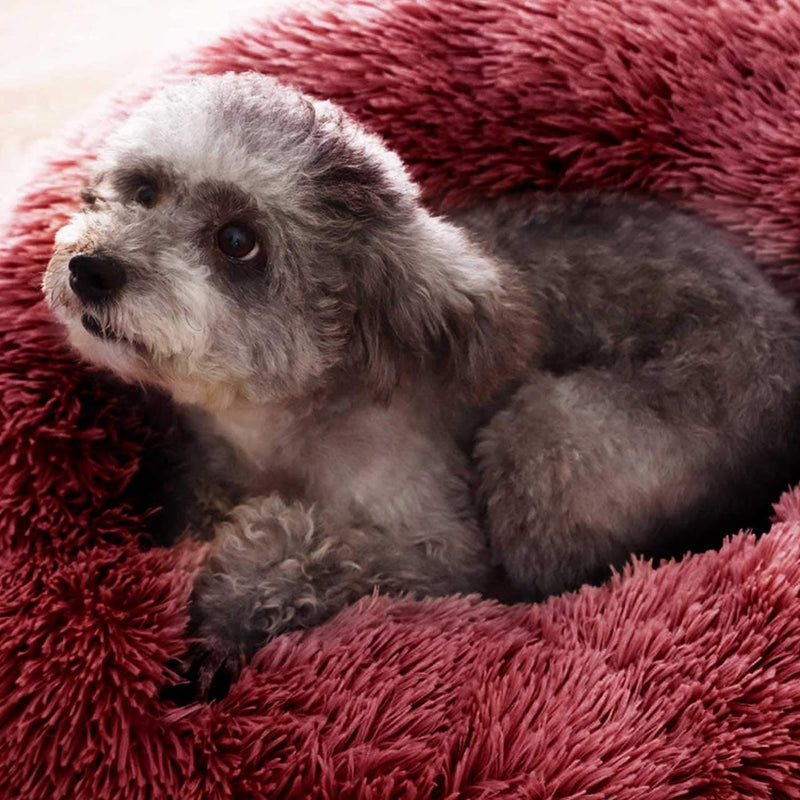 PETCUTE Hundebett Katzenbett Flauschige Marshmallow Katzen Bett Waschbar Runde Katzenkörbchen Weiche