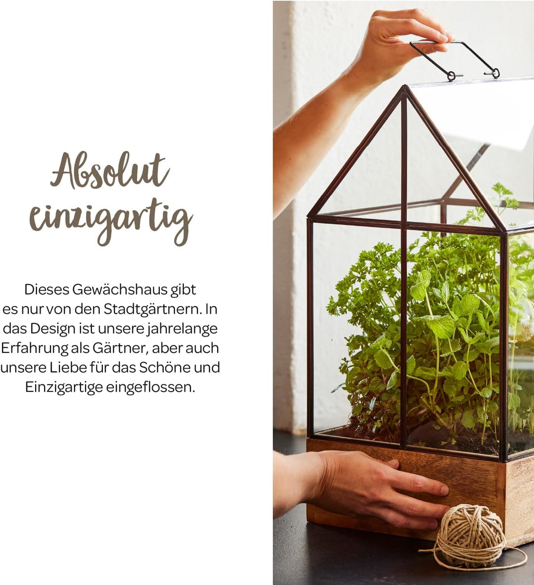 Modernes Gewächshaus als Deko, für Anzucht &amp; für Kräuter | Aus Glas, recyceltem Holz und Metall | Zi