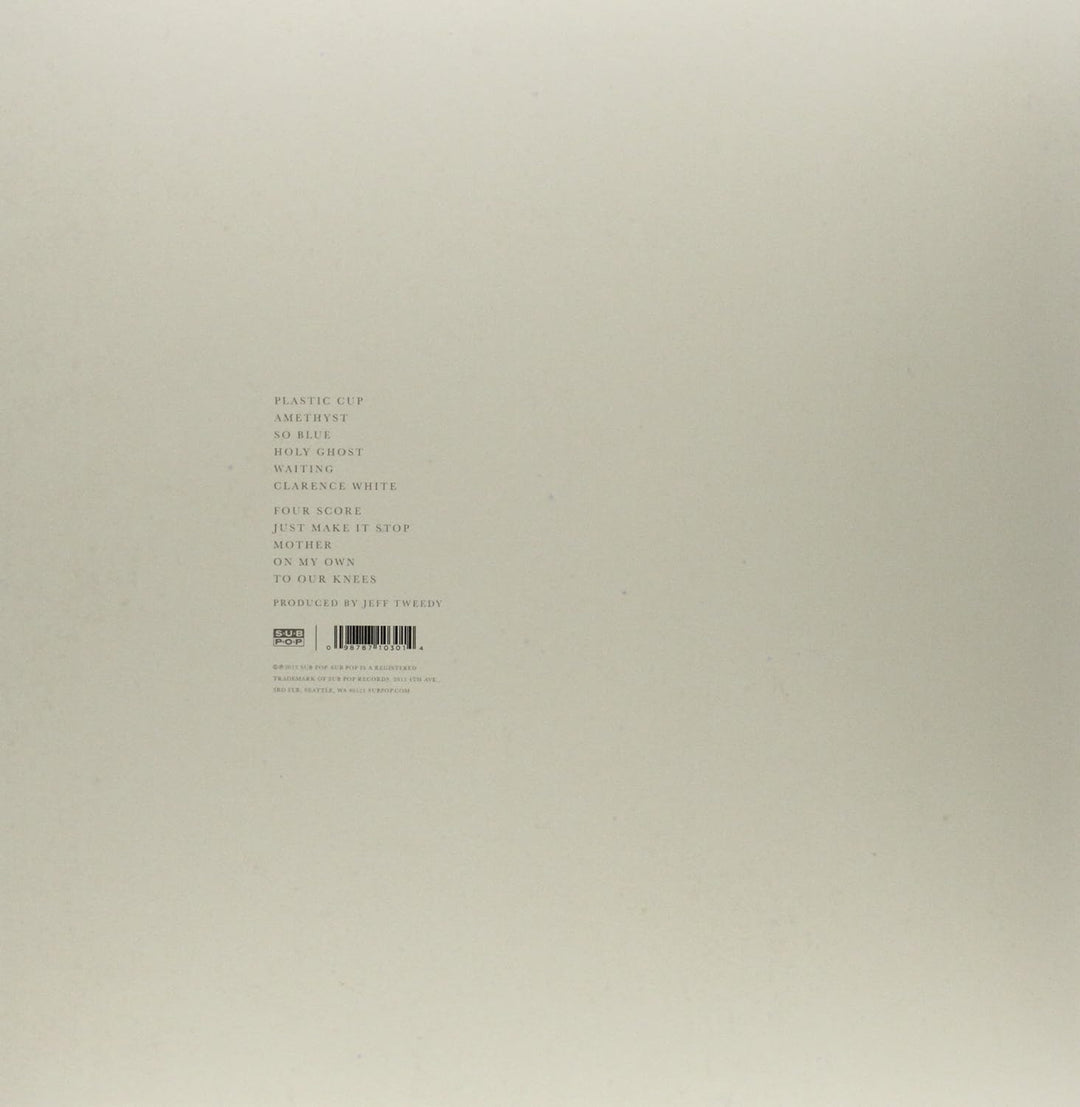 The Invisible Way, Vinyl