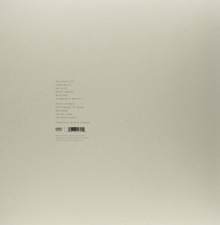 The Invisible Way, Vinyl