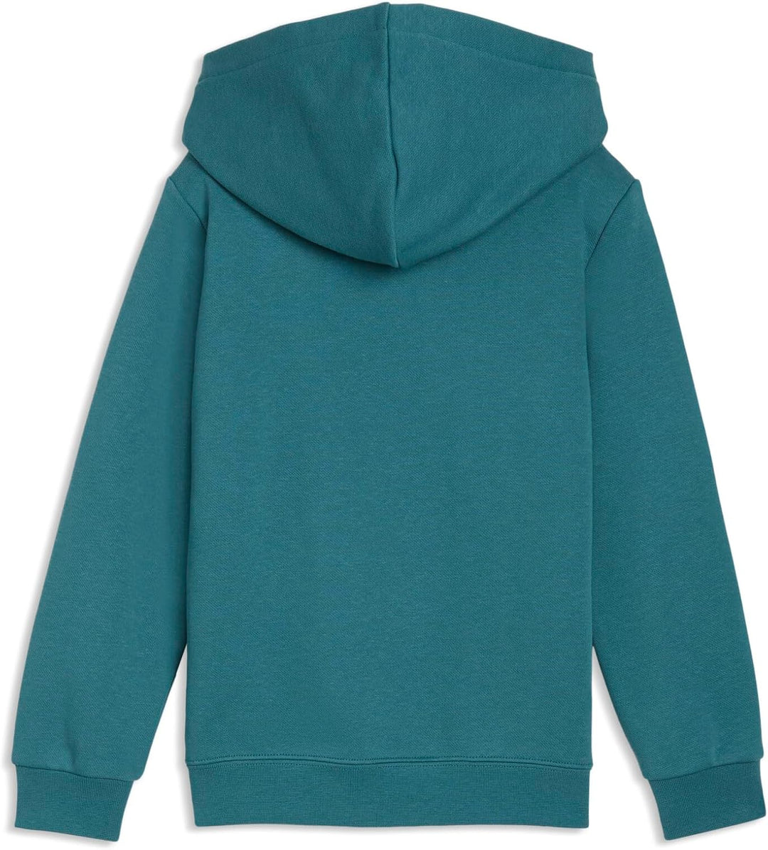 Puma Mädchen ESS Logo Hoodie Tr G Sweat (1er Pack) 98 Emerald Ice Green, 98 Emerald Ice Green