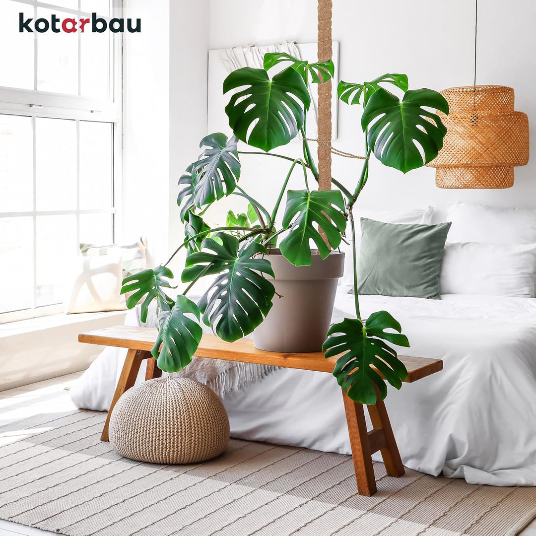 KOTARBAU® 2er Set Moosstab für Monstera Kokos Natural ⌀3,2 x 120cm Pflanzenstab Rankhilfe für Monste