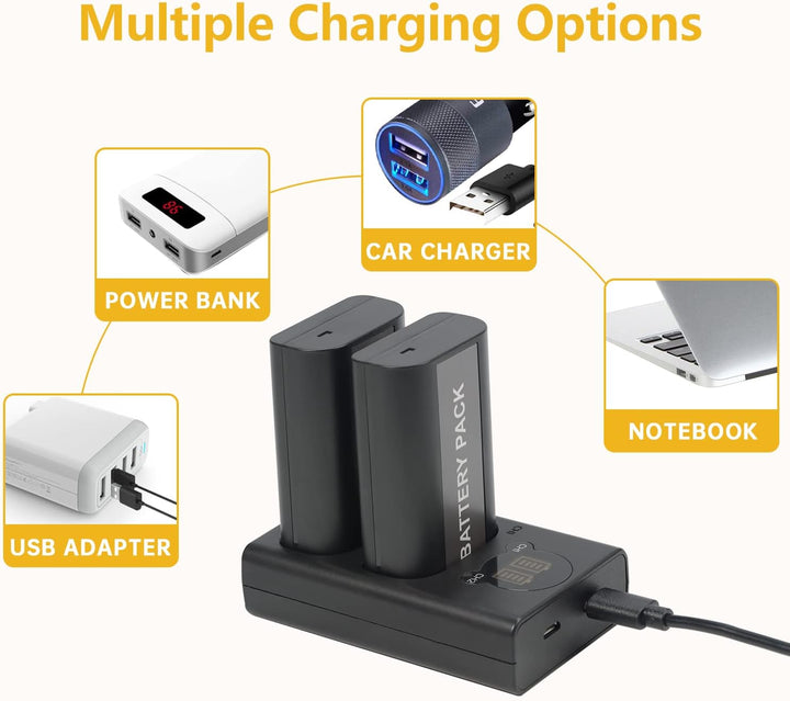 DSTE (2-Pack) DMW-BLJ31 DMW-BLJ31E Ersatz Batterie + Duales USB-Ladegerät mit LCD-Display Kompatibel