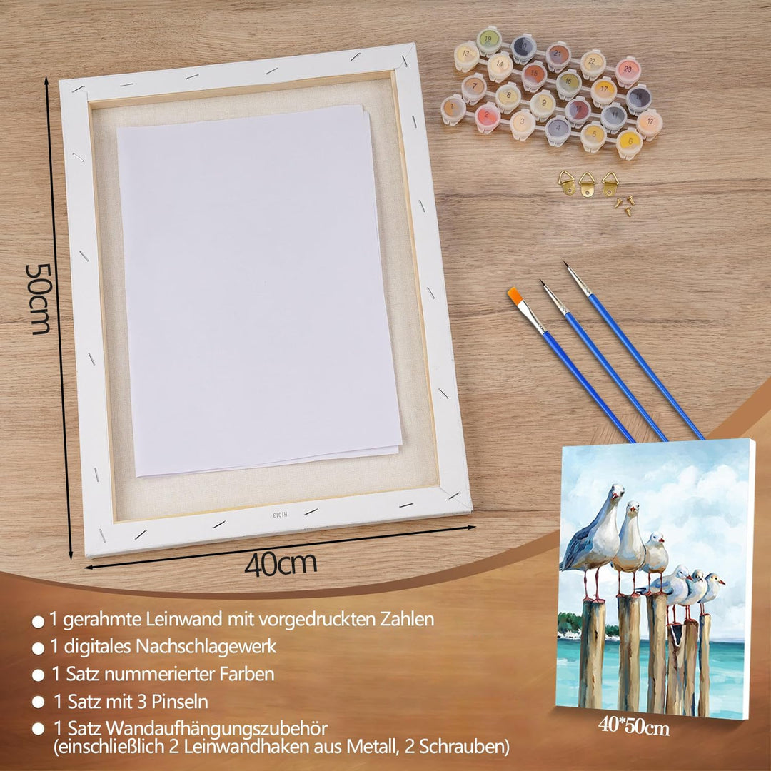 Malen Nach Zahlen möwe mit Rahmen, Malen Nach Zahlen Erwachsene Anfänger, Paint by Numbers Knitterfr