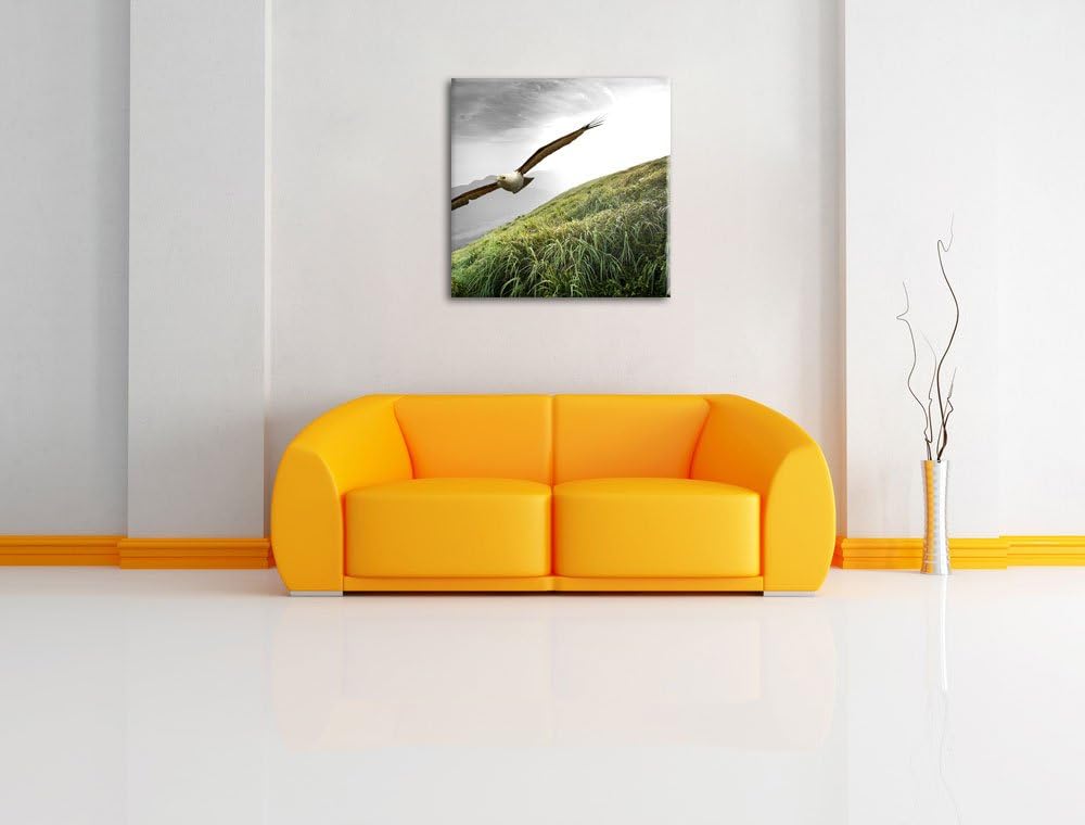 Pixxprint Majestätischer Weisskopfseeadler als Leinwandbild/Grösse: 70x70 cm/Wandbild/Kunstdruck/fer