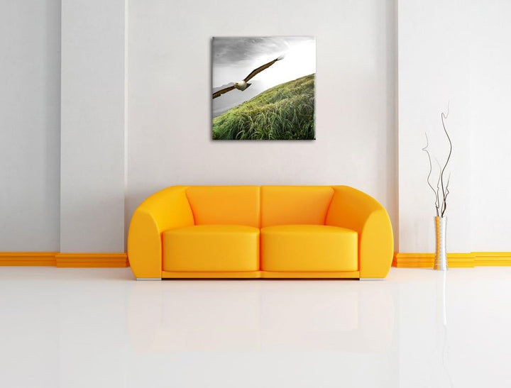 Pixxprint Majestätischer Weisskopfseeadler als Leinwandbild/Grösse: 70x70 cm/Wandbild/Kunstdruck/fer