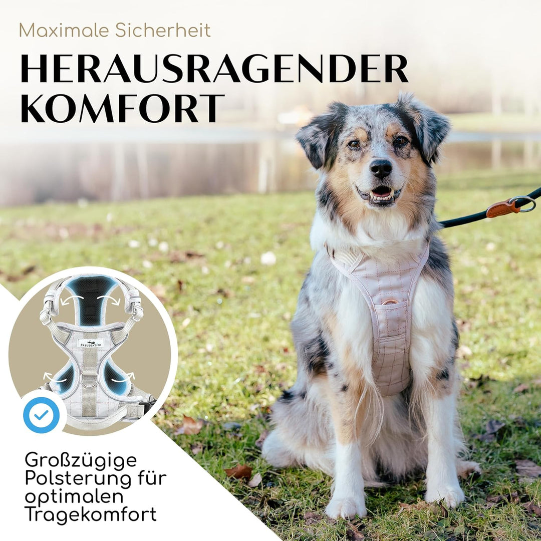 FREUDENTIER® Hundegeschirr mit atmungsaktiver Polsterung - Bombenfester Sitz - Anti Zieh Brustgeschi