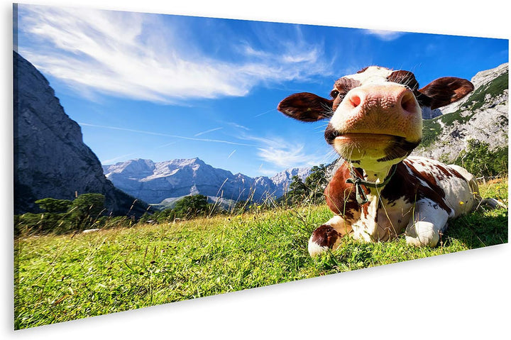 islandburner Bild auf Leinwand Kühe Im Karwendelgebirge In Österreich Bilder Wandbilder Poster Leinw