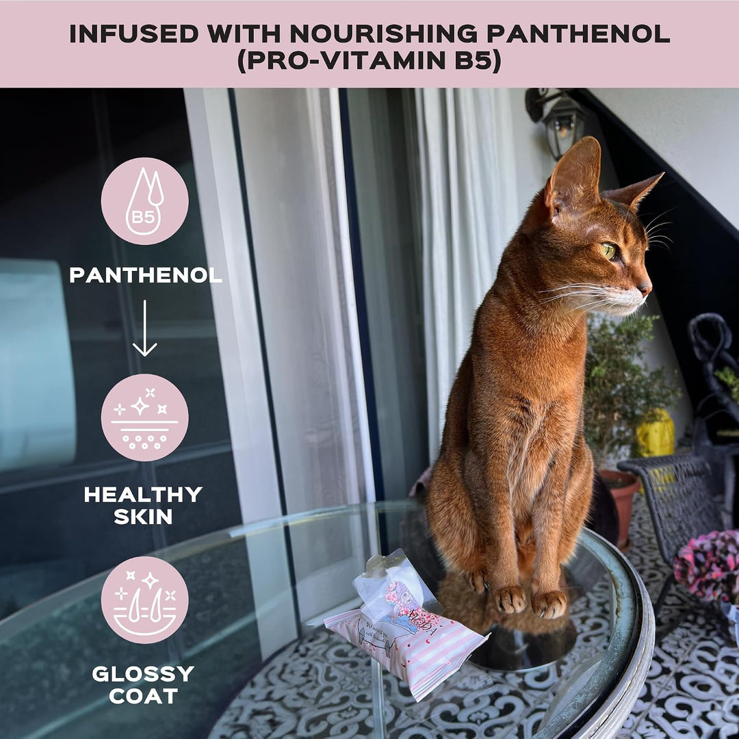 Feuchttücher mit Panthenol für Sphynx Katze für den täglichen Gebrauch (16 Packung/240 Stück) 1 stüc
