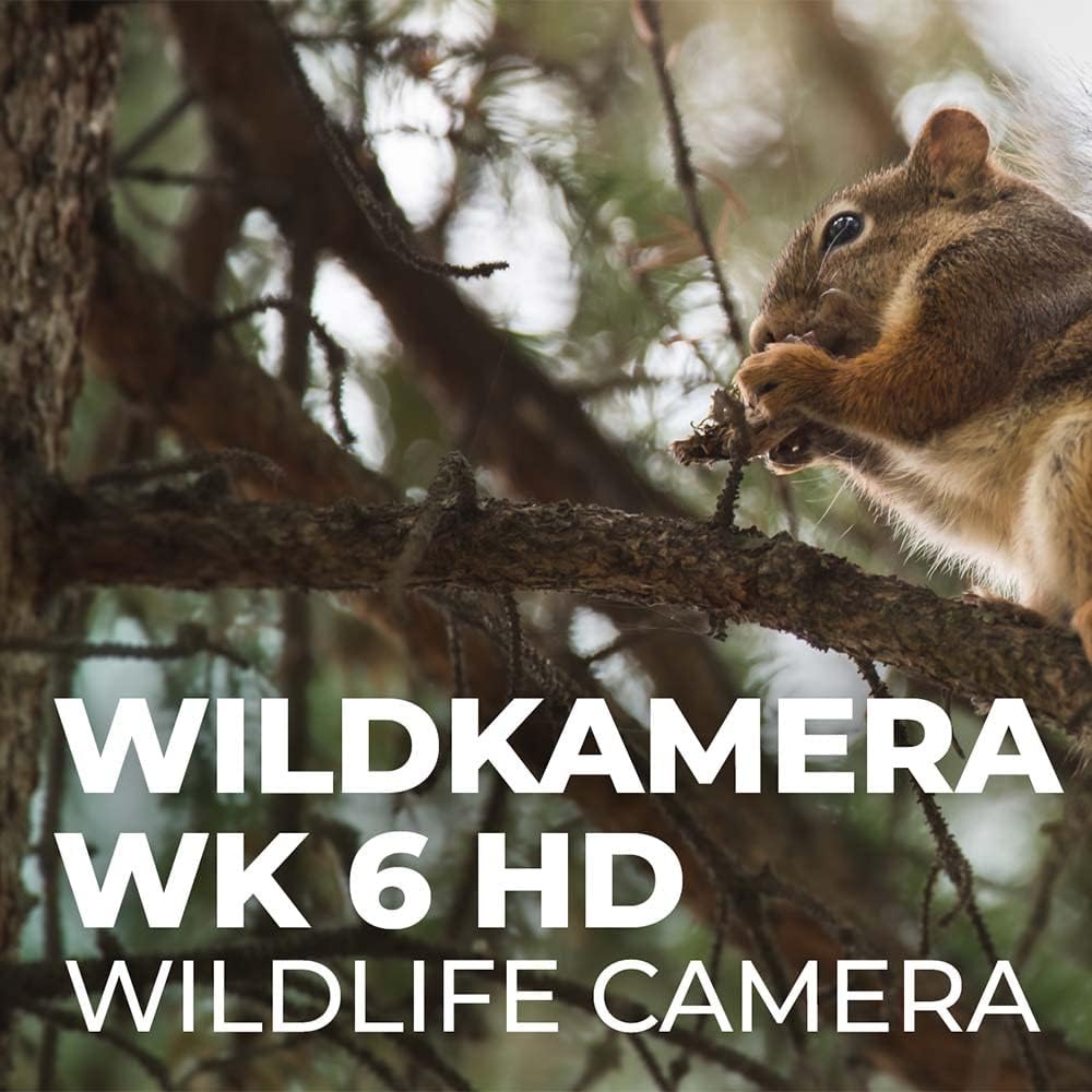 Maginon Wildkamera WK 6 HD, Fotofalle mit Bewegungssensor, Full-HD Video, Spritzwasser Geschützes Ge