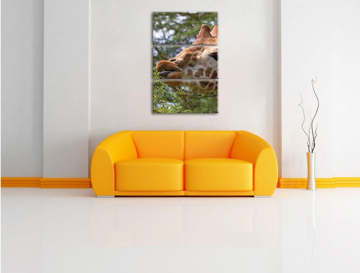 Pixxprint niedliche Giraffe beim Fressen als Leinwandbild/Grösse: 3 Teilig (120x80) cm/Wandbild/Kuns