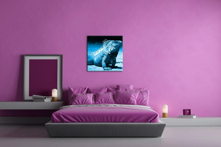 deyoli edler grüner Leguan Format: 70x70 Effekt: Monocrome Blau als Leinwand, Motiv fertig gerahmt a