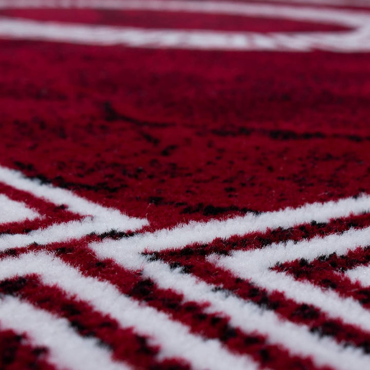 Carpetsale24 Teppich Wohnzimmer Marmor Optik mit Mäander Bordüre Muster Rot Meliert 240 x 340 cm - K