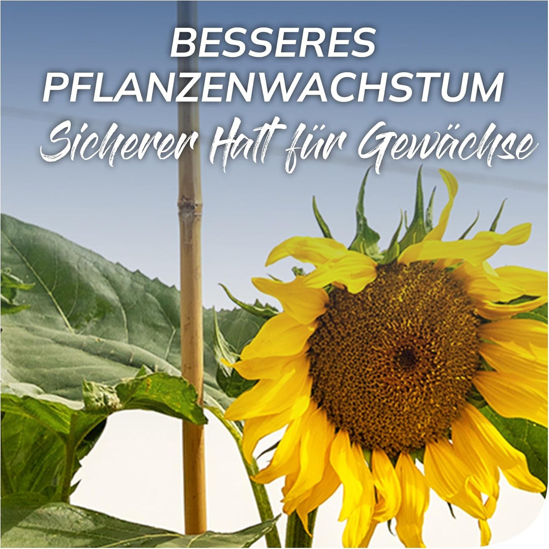 bellissa Bambusstäbe Rankhilfe Bambusstangen 15er-Set Bambusholz 180 cm 180cm / 15 Stück, 180cm / 15