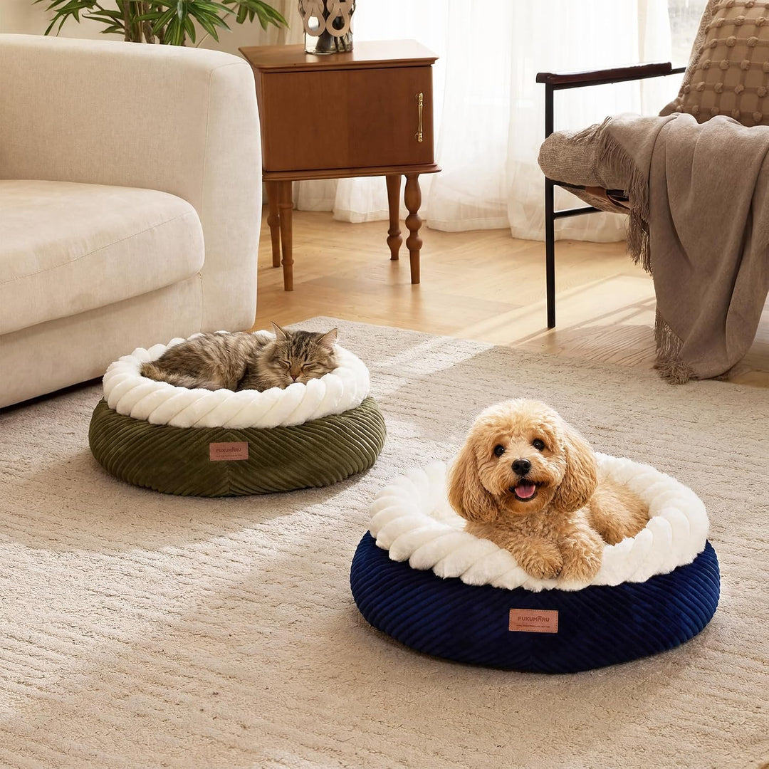 FUKUMARU Katzenbett waschbar Katzen Bettchen, 55x55x21cm Katzenkorb mit erhöhtem Rand, weiches Bett
