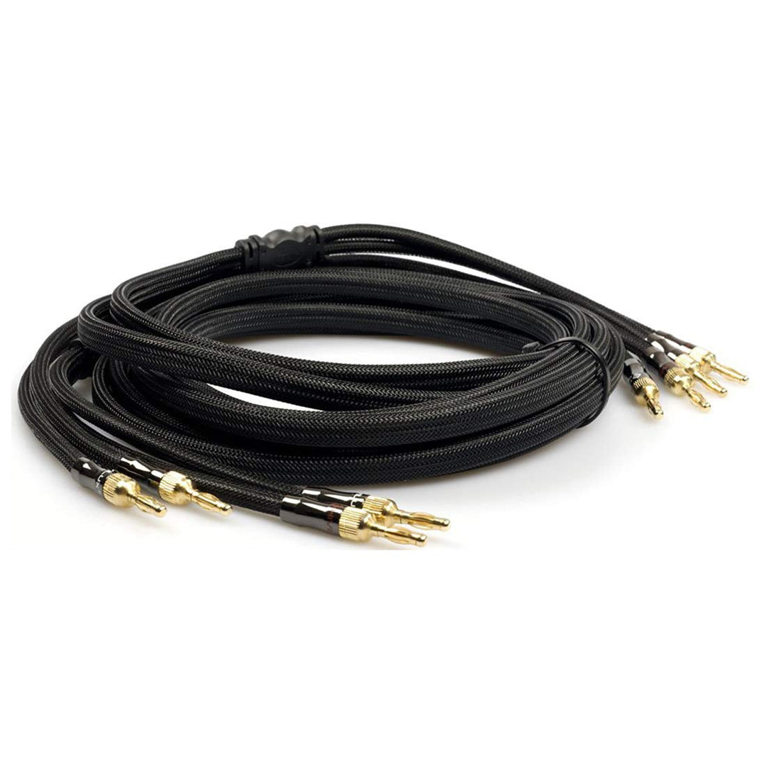 HiViLux HiFi Lautsprecherkabel/Boxenkabel OFC ausschraubbar Bananenstecker für HiFi Stereo Paar (4m