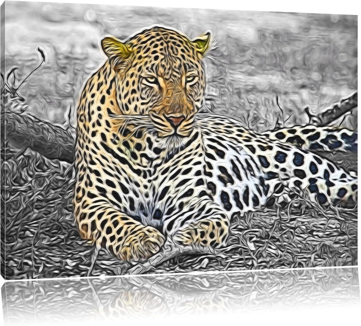 schöner Leopard liegt im Laub schwarz/weiss Deluxe Format: 100x70 cm auf Leinwand, XXL riesige Bilde