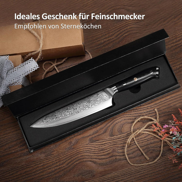 PAUDIN Damastmesser Kochmesser Küchenmesser 20 cm Damaststahl Messer mit Ergonomischem G10-Griff Dam