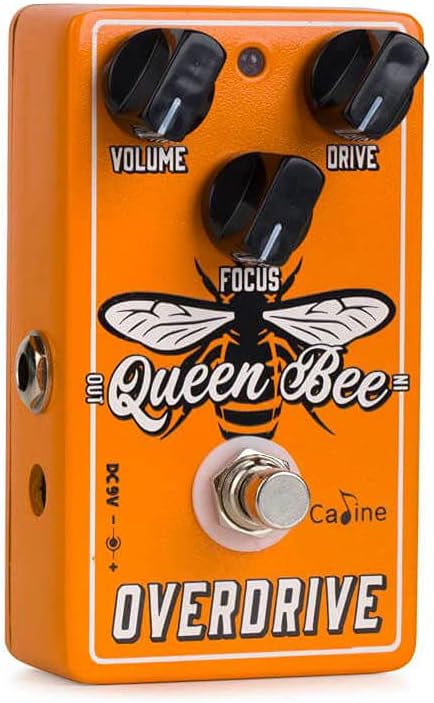 Caline CP-503 Queen Bee Overdrive - Overdrive Pedale