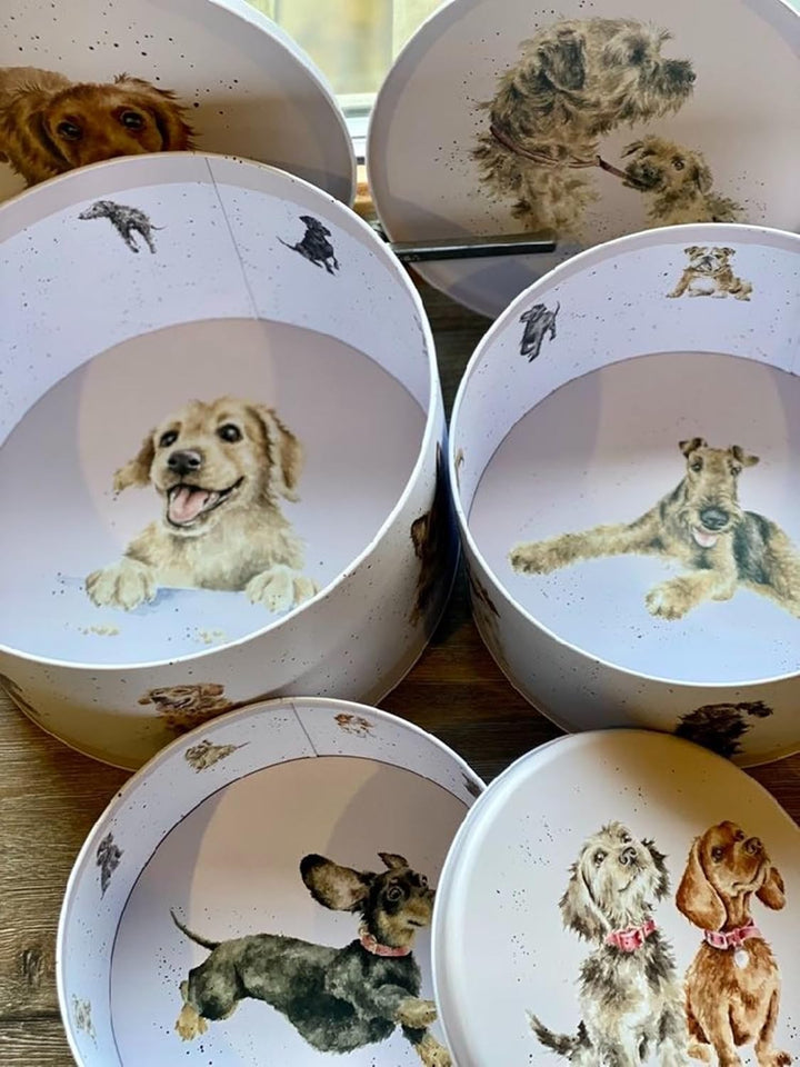 Wrendale Designs by Hannah Dale - A Dog's Life Kuchenform, 250 mm, 225 mm und 195 mm Durchmesser, A