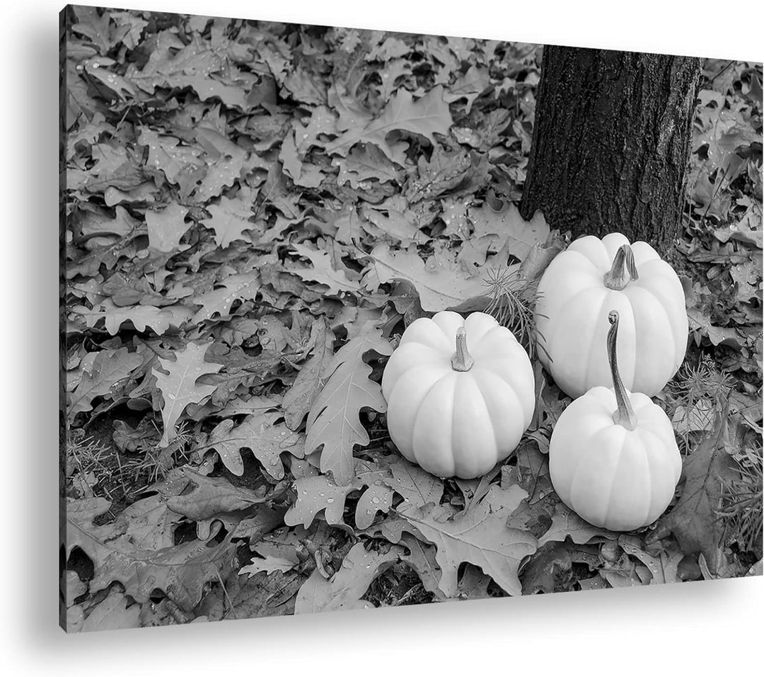 deyoli frische Kürbise Effekt: Schwarz&Weiss Format: 120x80 als Leinwandbild, Motiv fertig gerahmt a