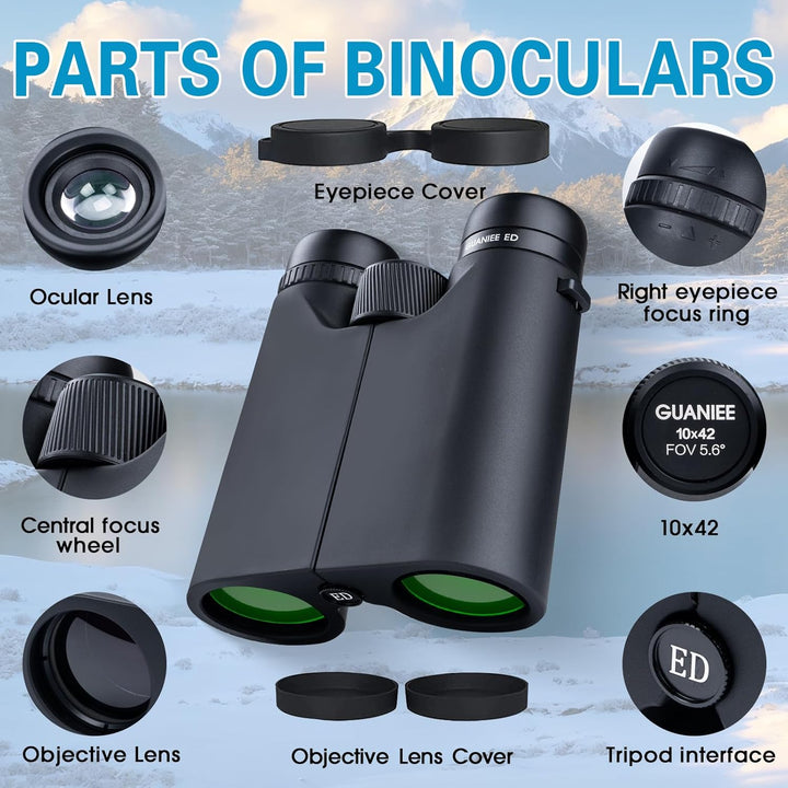10x42 Fernglas für Erwachsene, leistungsstarkes kompaktes Fernglas mit schwachem Licht, Nachtsicht f
