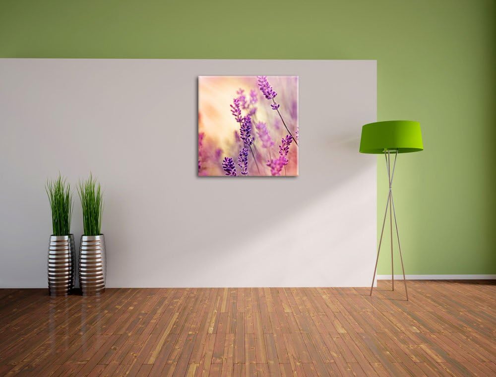Eleganter Lavendel, Format: 70x70 auf Leinwand, XXL riesige Bilder fertig gerahmt mit Keilrahmen, Ku