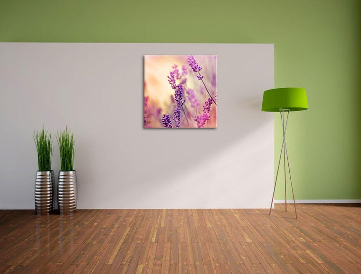 Eleganter Lavendel, Format: 70x70 auf Leinwand, XXL riesige Bilder fertig gerahmt mit Keilrahmen, Ku