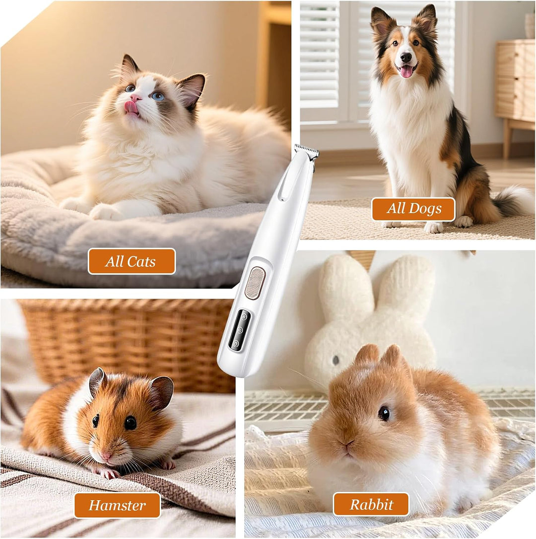 Pfotentrimmer mit LED Licht, Leise Hundeschermaschine, Haustier Rasierer Mit USB, Wasserdichter, ide