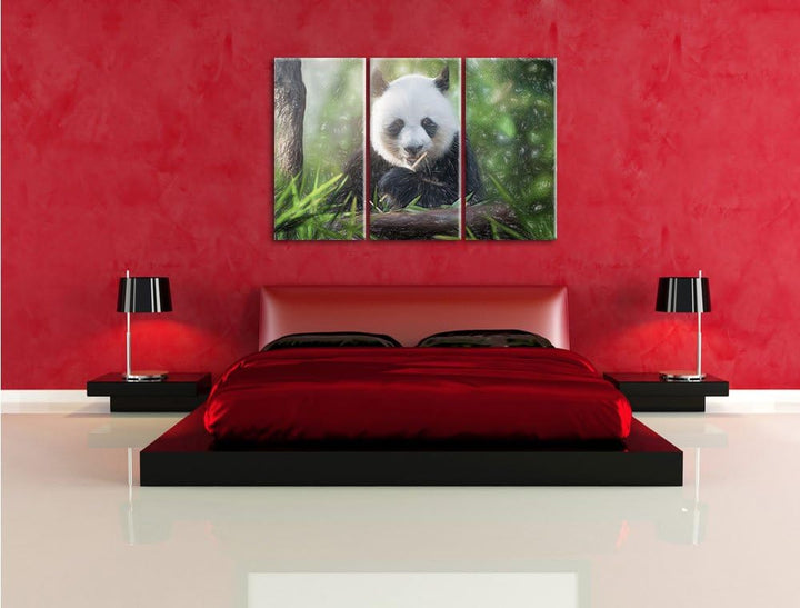 Pixxprint Niedlicher Panda isst Bambus als Leinwandbild/Grösse: 3 Teilig (120x80) / Wandbild/Kunstdr