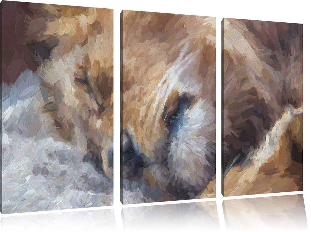Pixxprint schlafender Löwe Kunst als Leinwandbild/Grösse: 3 Teilig (120x80) / Wandbild/Kunstdruck/fe
