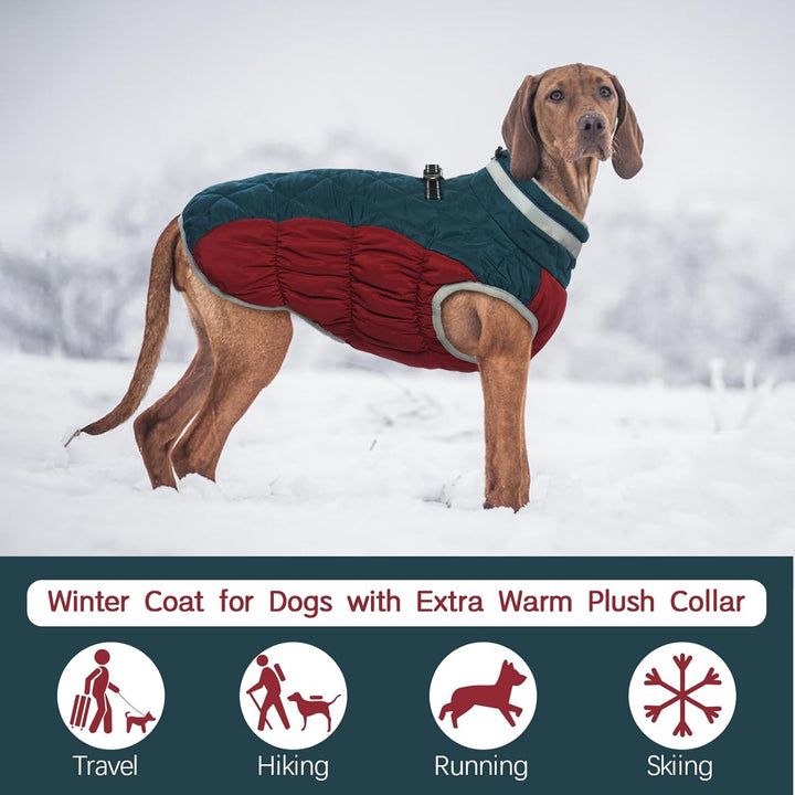 Kuoser Wärme hundemantel, Winddicht hundejacke, Reflektierend hundemantel für kleine Hunde, hundeman