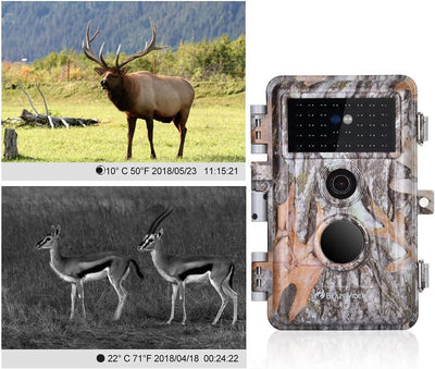 BlazeVideo 2tlg. Wildkamera 32MP 1296P HD Wildtierkamera mit Nachtsicht Bewegungsmelder, IP66 Wasser