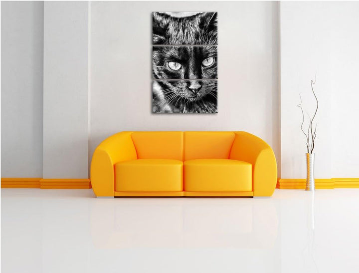 Pixxprint Schwarze Katze als Leinwandbild/Grösse: 3 Teilig (120x80) / Wandbild/Kunstdruck/fertig bes