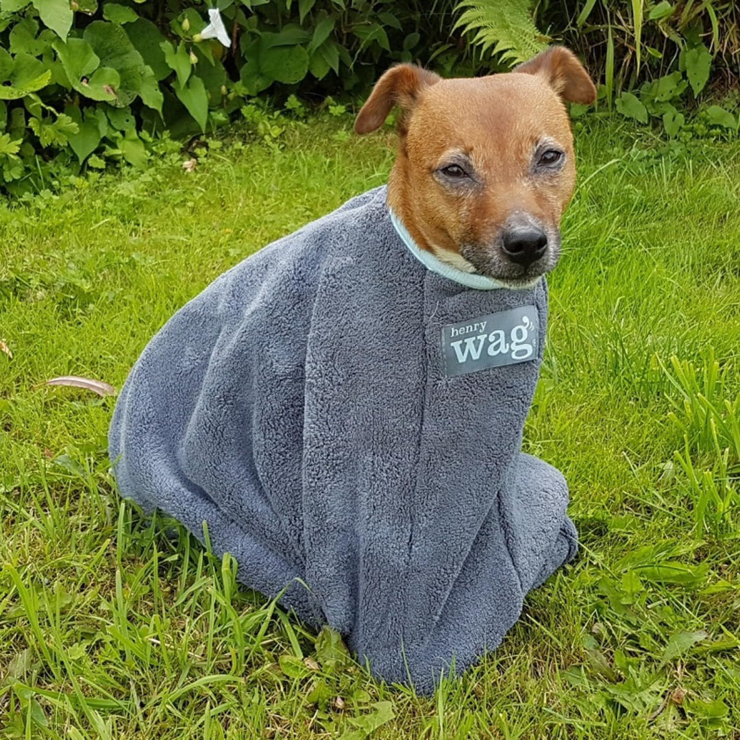 Henry Wag Hundetrockenbeutel - Weiche &amp; Hochsaugfähige Mikrofaser, schlammiges Haustierzubehör, schn