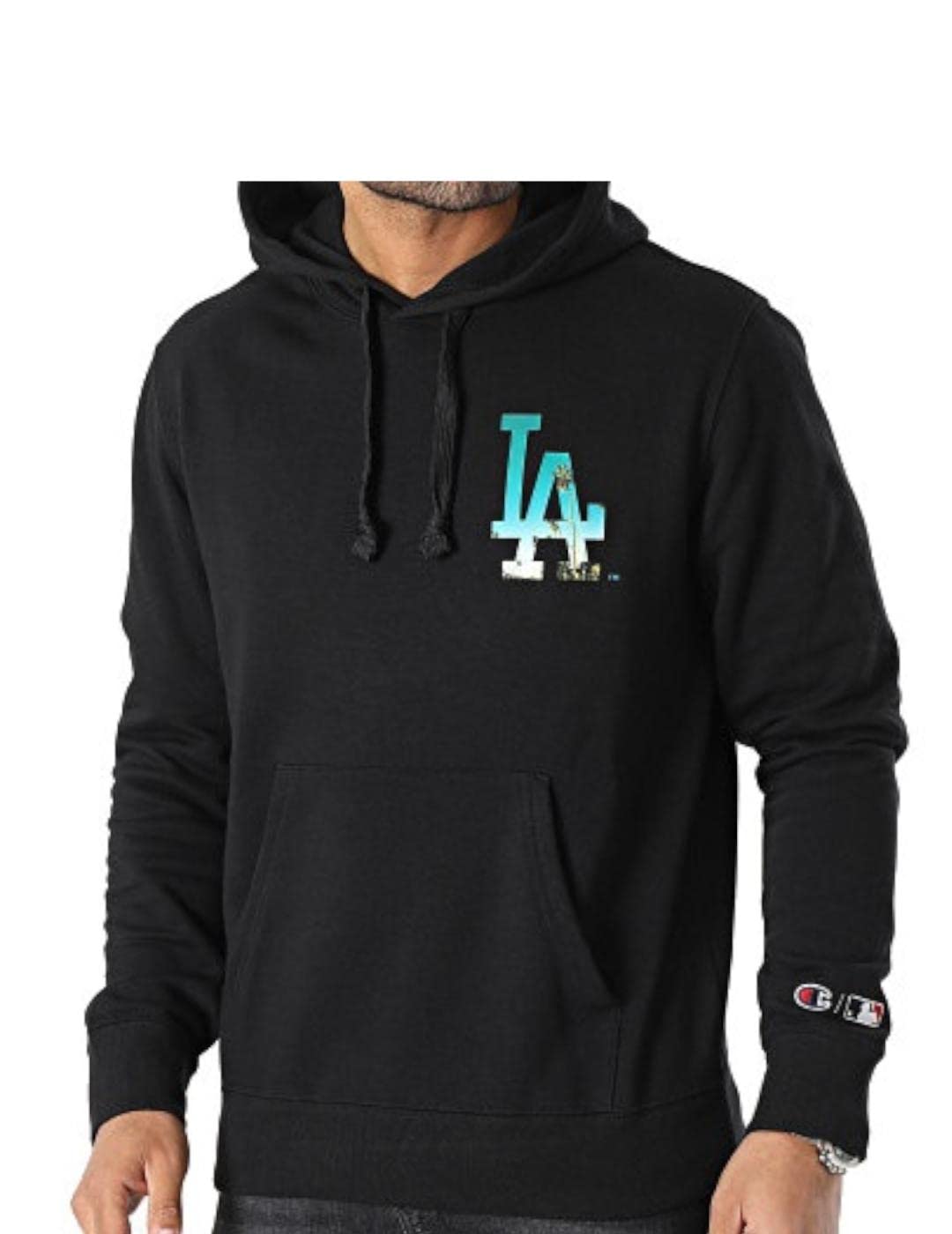 Champion Herren Kapuzenpullover L Schwarz, L Schwarz