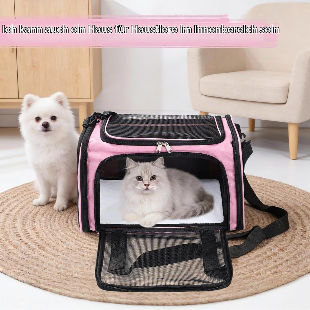 Pomodee Transportbox für Katze und Hund bis 5.5kg, Tragbare Autotaugliche Transporttasche, Faltbare
