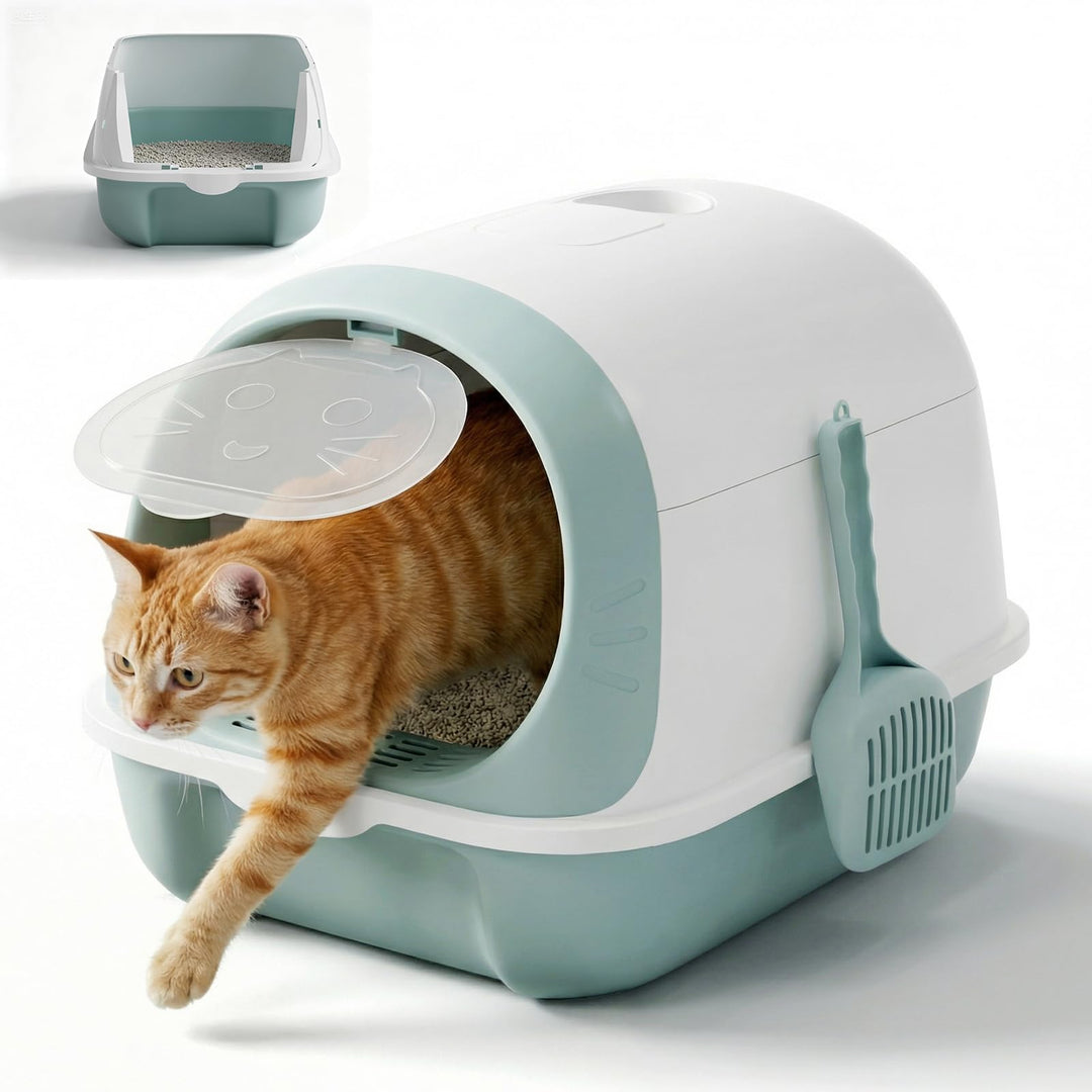 3-in-1 Katzenklo, mit deckel, Zvonema Katzentoilette hoher Rand, niedriger Einstieg für Kätzchen & S