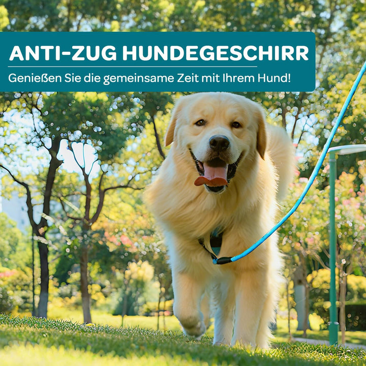 FURRYFECTION Hundefreileinengeschirr Zugfrei Würgfrei, Reflektierendes Oxfordgewebe, Polsternder Gri