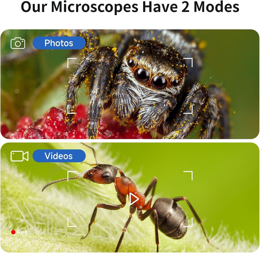 BEAVERLAB 4,0" IPS Mikroskop, digitales Mikroskop 100X-1600X, WiFi USB Mikroskop für Anfänger, 1080P